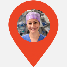 Het werk als perfusionist